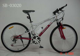 深圳市寶安南方自行車 創(chuàng)新工藝與卓越品質(zhì)的產(chǎn)品展示