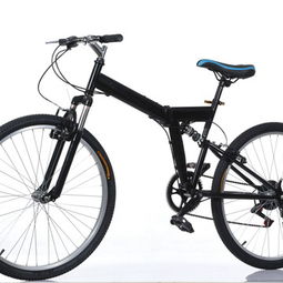 樂(lè)飛自行車 品質(zhì)產(chǎn)品與加盟前景全解析