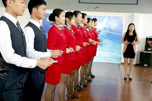 服務(wù)禮儀實(shí)戰(zhàn)訓(xùn)練指南 從理論到行動的干貨寶典